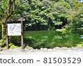 Mt. Fuji Honmu Shirama Asama Taisha Spring Pond 81503529