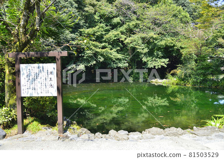 Mt.Fuji Honmu Shirama Asama Taisha Spring Pond Mt.Fuji Honmu Shirama Asama Taisha Spring Pond 81503529