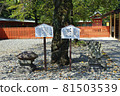 Fujisan Hongu Sengen Taisha Antarcticite 81503539