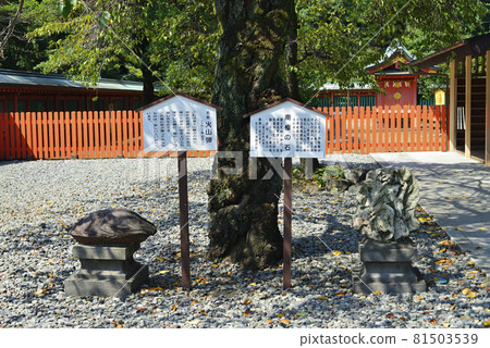 富士山本宮淺間大社南極洲 富士山本宮淺間大社南極洲 81503539