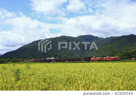 Inaho and DE10 Double-headed DL Yamaguchi 81503544