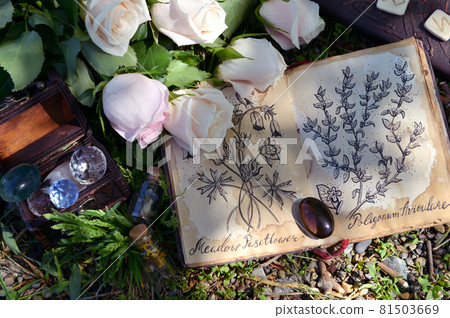 Beautiful roses and open diary with botanical drawings in the garden. Esoteric, gothic and occult background, Halloween mystic and wicca concept outdoors. Beautiful roses and open diary with botanical drawings in the garden. Esoteric, gothic and occult background, Halloween mystic and wicca concept outdoors. 81503669