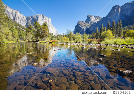 Yosemite 81504101
