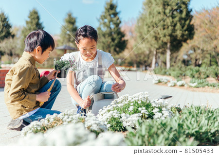Gardening / Gardening / Slow Life (siblings) Gardening / Gardening / Slow Life (siblings) 81505433