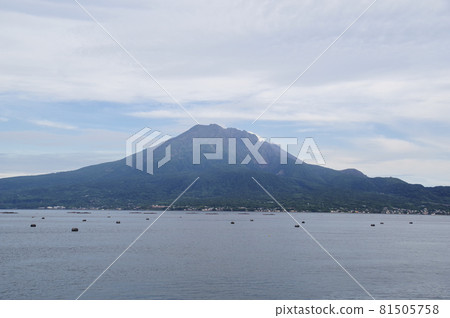Sakurajima seen over Kinko Bay 81505758