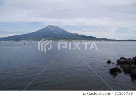 在錦江灣上看到的櫻島 在錦江灣上看到的櫻島 81505759