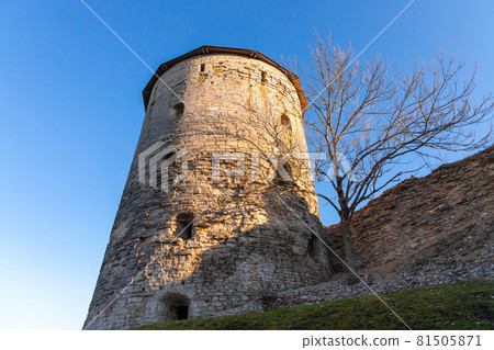 The Gremyachaya Tower exterior, Pskov 81505871