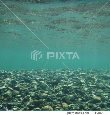 The bottom of the Rekifune River in Taiki Town, Hokkaido 81506309