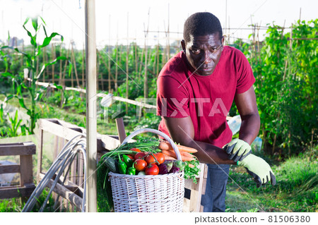 Man posing in garden with harvested vegetables Man posing in garden with harvested vegetables 81506380