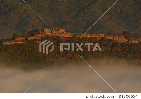 Takeda Castle Ruins from Rikunkyo Gorge 81506654