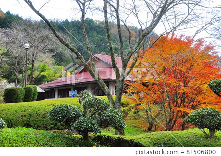 愛知縣豐田市小原和紙故里和紙工藝體驗中心和紅葉 愛知縣豐田市小原和紙故里和紙工藝體驗中心和紅葉 81506800