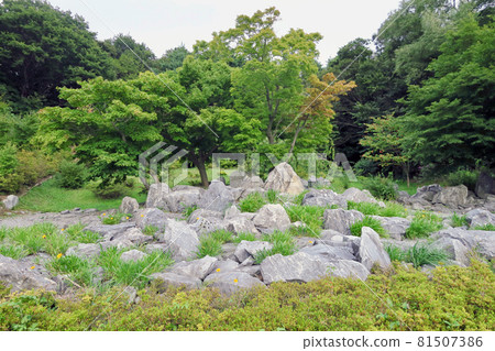 Hachinohe Lime Mine 81507386