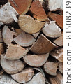 Stacked firewood 81508239