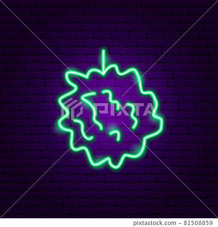 Custard Apple Slice Neon Sign Custard Apple Slice Neon Sign 81508859