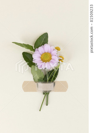 flower and leaves in bondage flower and leaves in bondage 81509233