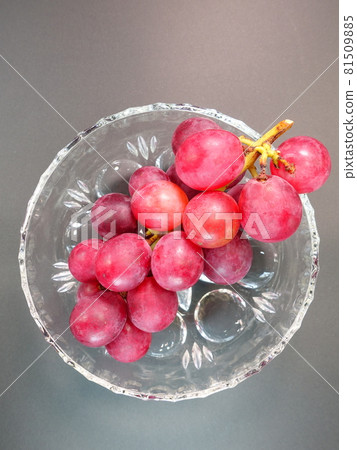 Grapes grapes Grapes grapes 81509885