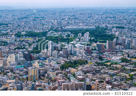 Tokyo cityscape of Japan Overlooking the cityscape such as Komaba, Meguro-ku 81510322