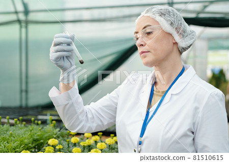 Serious female researcher looking at flask with soil sample 81510615
