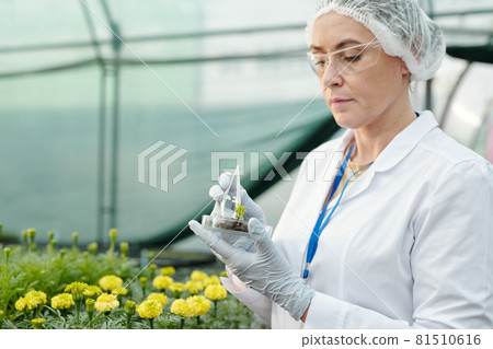Mature female expert making experiment with new sort of flowers Mature female expert making experiment with new sort of flowers 81510616