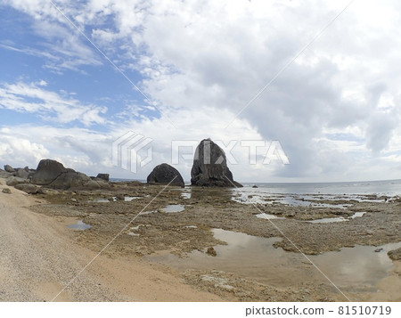 瀨田立神奄美大島 瀨田立神奄美大島 81510719