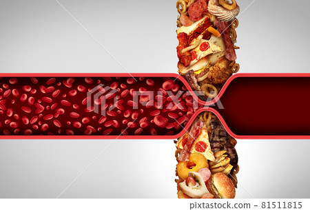 Blood Circulation And Cholesterol 81511815