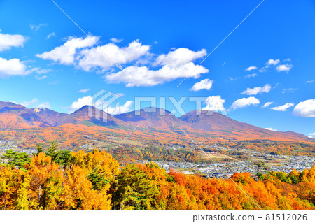 金州（長野縣小諸市）淺間山（淺間山、黑府山、高峰山）的景色 [2020.11] 81512026