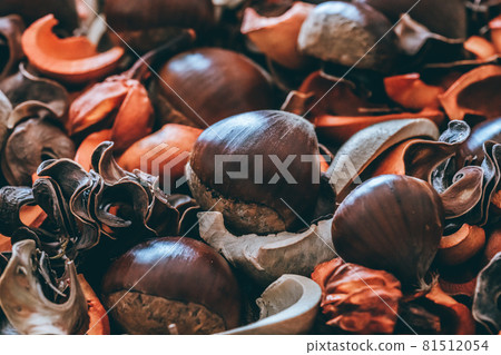 Perfect for the autumn atmosphere! Image cut of chestnuts and plants that can be used as a background Perfect for the autumn atmosphere! Image cut of chestnuts and plants that can be used as a background 81512054