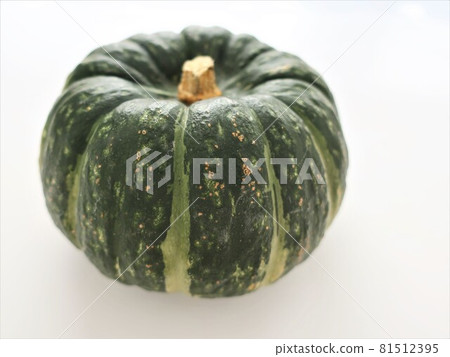 Botchan Pumpkin 81512395
