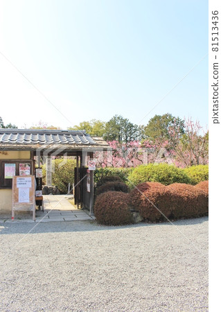Plum in full bloom Ono Umeen, the site of Zuishinin Monzeki Plum in full bloom Ono Umeen, the site of Zuishinin Monzeki 81513436