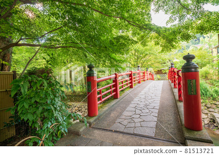 (靜岡縣)修善寺溫泉楓橋 (靜岡縣)修善寺溫泉楓橋 81513721