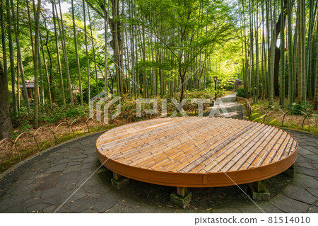 (Shizuoka Prefecture) Shuzenji Onsen, Bamboo Forest Path / Lying Circle Bench (Shizuoka Prefecture) Shuzenji Onsen, Bamboo Forest Path / Lying Circle Bench 81514010