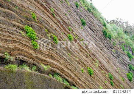 Layered surface of Izu Oshima Layered surface of Izu Oshima 81514254