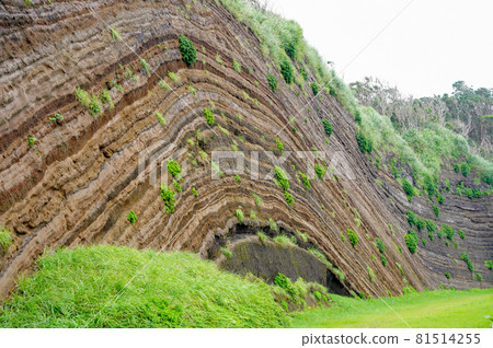 Layered surface of Izu Oshima Layered surface of Izu Oshima 81514255