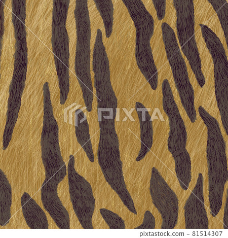 Tiger fur pattern_real touch_square 81514307