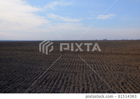 A freshly plowed farm field. Cultivated agricultural land. Landscape. 81514363