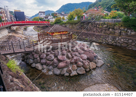 (Shizuoka Prefecture) Shuzenji Hot Spring Ding Ting Yu (Shizuoka Prefecture) Shuzenji Hot Spring Ding Ting Yu 81514407