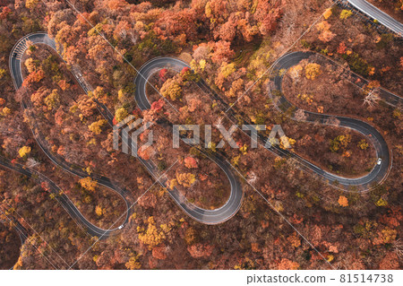 Aerial view "Tochigi Prefecture" Late autumn Nikko Irohazaka 81514738