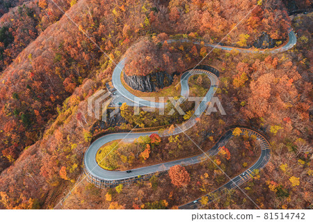 鳥瞰圖“櫪木縣”深秋日光 Irohazaka 鳥瞰圖“櫪木縣”深秋日光 Irohazaka 81514742