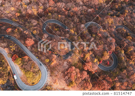 Aerial view "Tochigi Prefecture" Late autumn Nikko Irohazaka 81514747