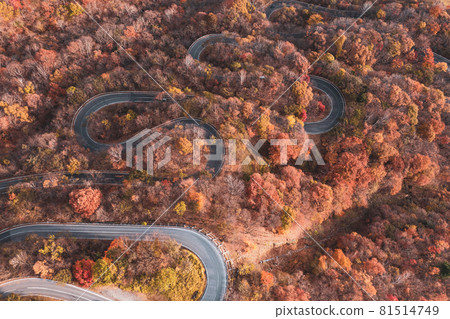 Aerial view "Tochigi Prefecture" Late autumn Nikko Irohazaka 81514749