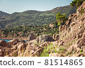 Mountains, rocks, large stones and trees in the 81514865