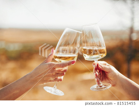 Friends clinking glasses with white wine during picnic 81515455