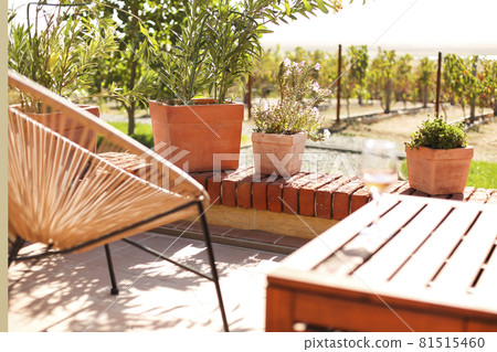 Wineglass on brick border in yard Wineglass on brick border in yard 81515460