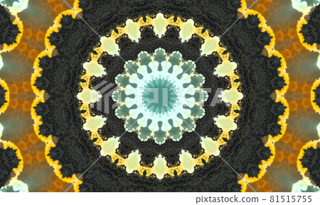Ornamental Decorative Kaleidoscope Movement Geometric Circle, abstract floral kaleidoscope, geometric ethnic seamless pattern, intricate folk background Ornamental Decorative Kaleidoscope Movement Geometric Circle, abstract floral kaleidoscope, geometric ethnic seamless pattern, intricate folk background 81515755