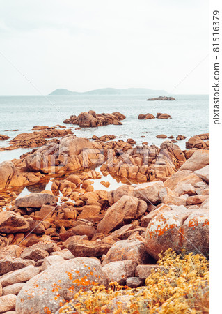 Landscape of a mediterranean coastline 81516379
