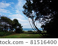 Looking down at the sea and looking up at the sky, the wind blows in early autumn 81516400