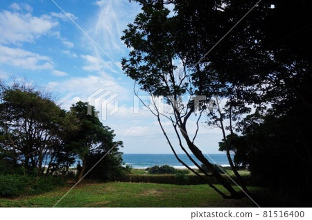 Looking down at the sea and looking up at the sky, the wind blows in early autumn Looking down at the sea and looking up at the sky, the wind blows in early autumn 81516400