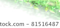 發光的綠葉背景素材 Header 81516487