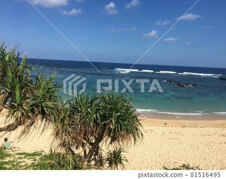 沖繩山原海灘 沖繩山原海灘 81516495