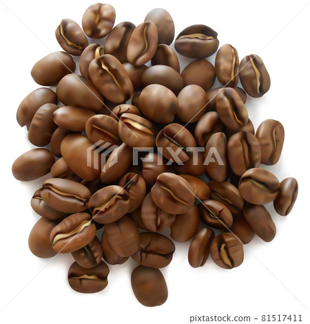 Vector Roasted Coffee Beans 81517411